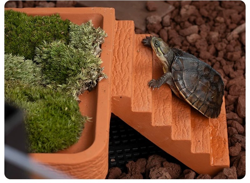 Aquarium Turtle Basking Platfo - Hide Cave Ceramic ulasan dan harga