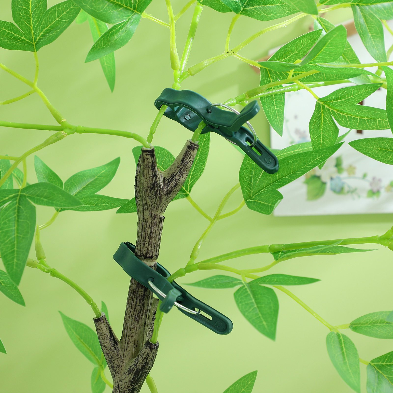 50Pcs Plant Support Clamp Plas - Vine Climbing Plastic ulasan dan harga