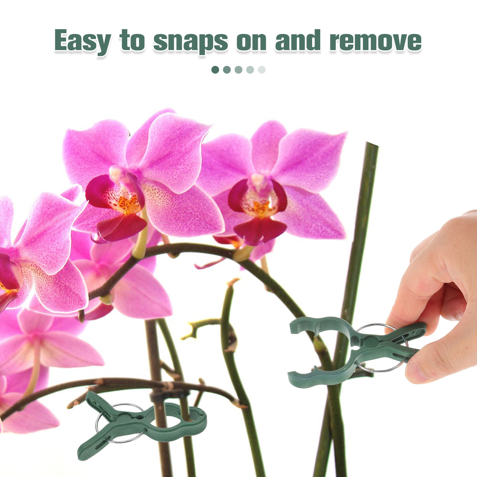 50Pcs Plant Support Clamp Plas - Vine Climbing Plastic ulasan dan harga