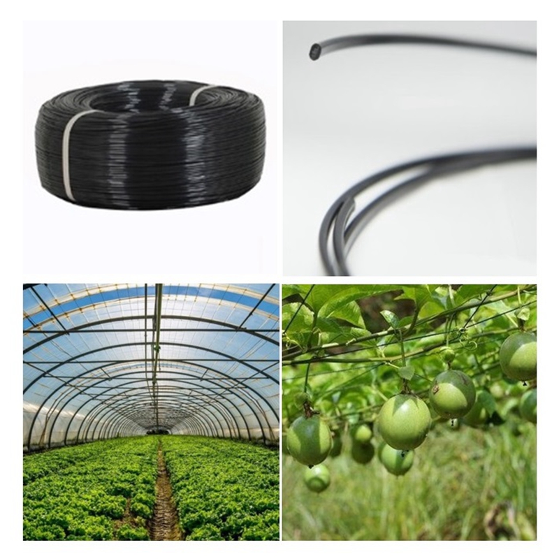 50m Plastic Steel Wire Agricul - Vine Climbing Plastic ulasan dan harga