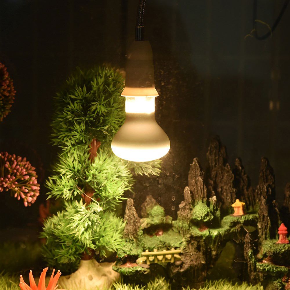 Amphibians Temperature Control - Basking Bulb Halogen ulasan dan harga
