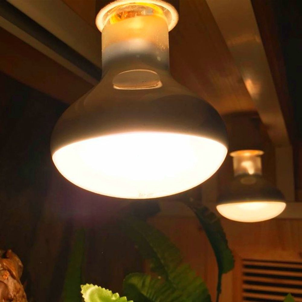 Turtle Temperature Controller  - Basking Bulb Halogen ulasan dan harga
