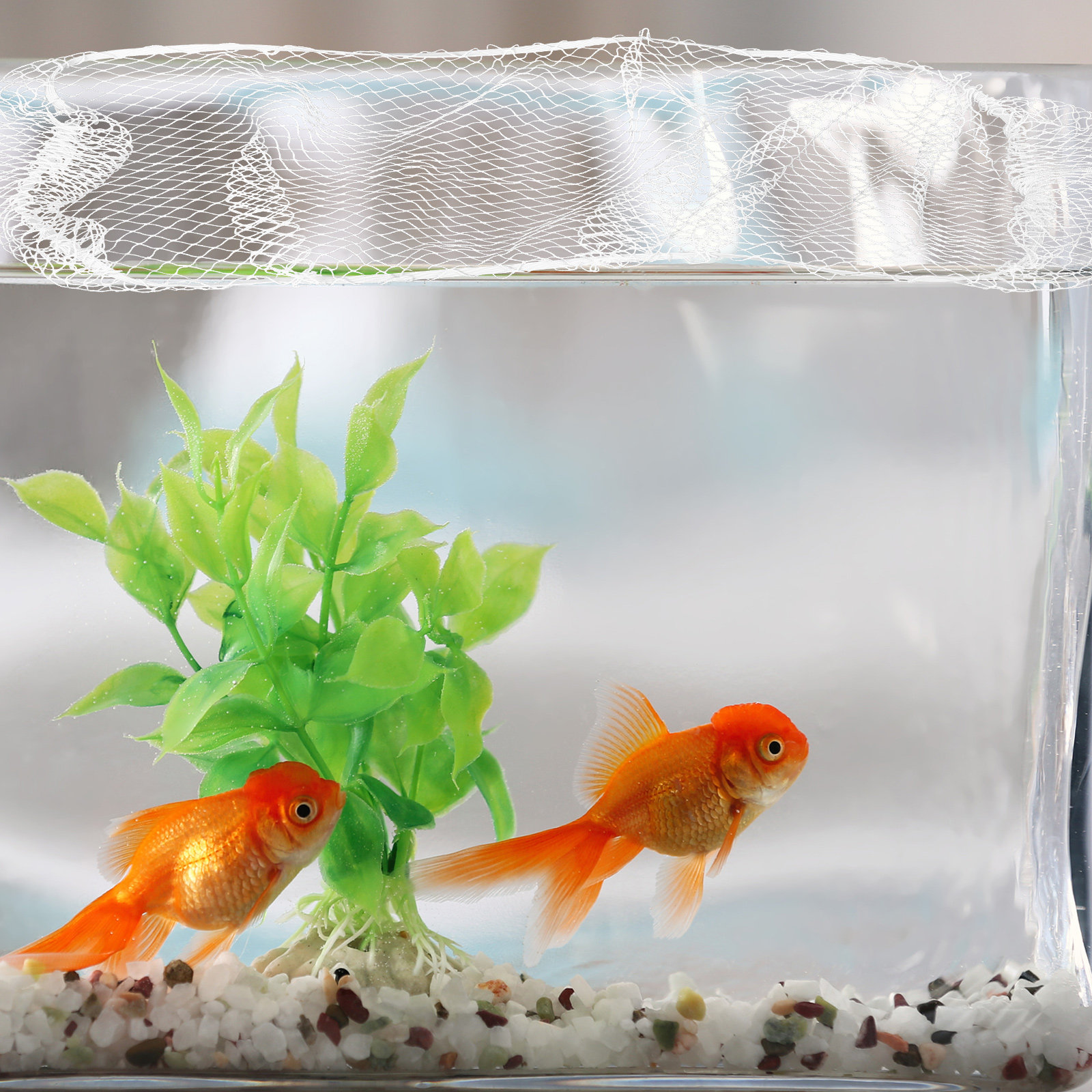 75x22cm Nylon Aquarium Mesh Ne - Screen Top Mesh ulasan dan harga