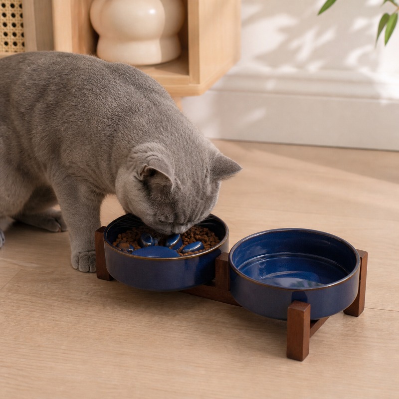 Japanese-style Kiln Ceramic Pe - Royal Canin Food Medium ulasan dan harga