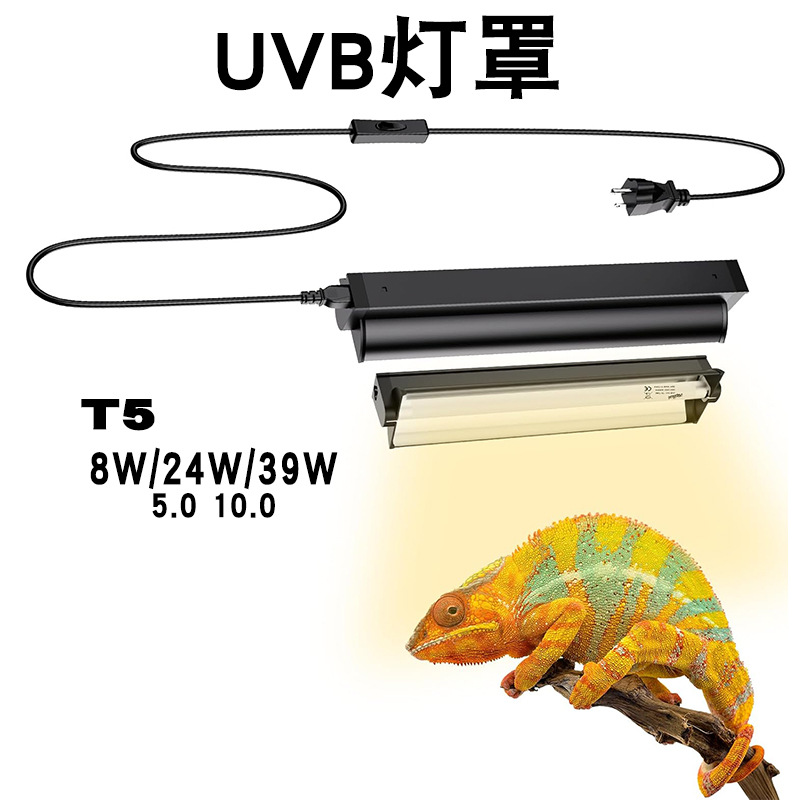 T5 UVB Tube With Integrated Fi - Calcium Powder Reptile ulasan dan harga